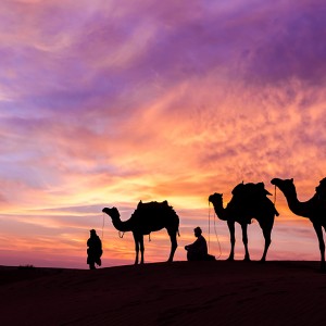 saudi-explore14 saudi-explore14